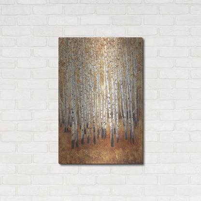 Luxe Metal Art 'Sienna Birches II' by Tim O'Toole, Metal Wall Art,24x36