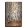 Luxe Metal Art 'Sienna Birches II' by Tim O'Toole, Metal Wall Art