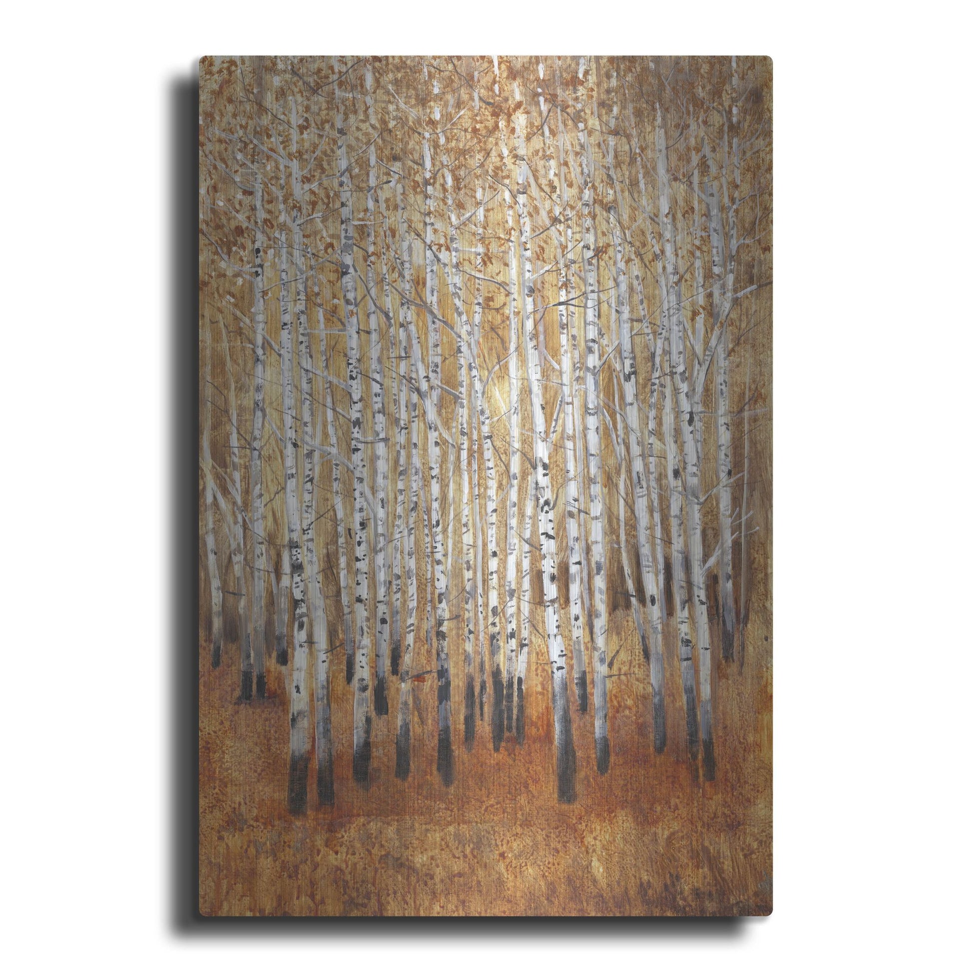 Luxe Metal Art 'Sienna Birches II' by Tim O'Toole, Metal Wall Art