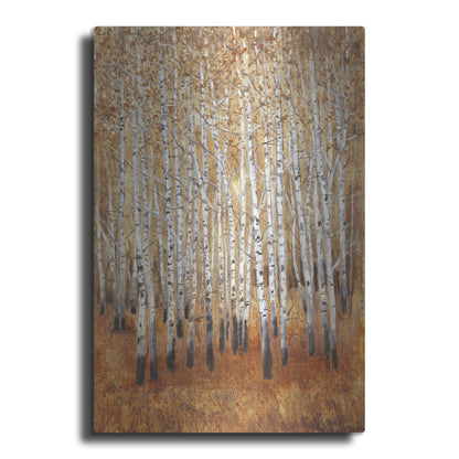 Luxe Metal Art 'Sienna Birches II' by Tim O'Toole, Metal Wall Art