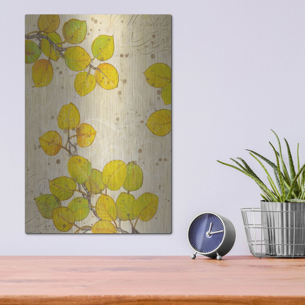 Luxe Metal Art 'Turning I' by Tim O'Toole, Metal Wall Art,12x16