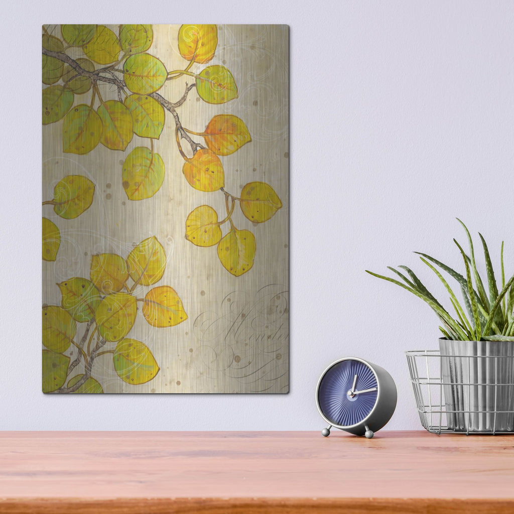 Luxe Metal Art 'Turning II' by Tim O'Toole, Metal Wall Art,12x16