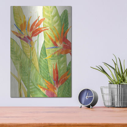 Luxe Metal Art 'Watercolor Tropical Flowers III' by Tim O'Toole, Metal Wall Art,12x16