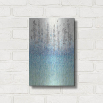 Luxe Metal Art 'Cypress Border I' by Tim O'Toole, Metal Wall Art,12x16