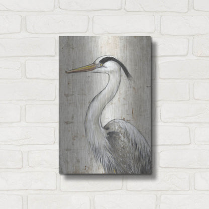 Luxe Metal Art 'Grey Heron II' by Tim O'Toole, Metal Wall Art,12x16