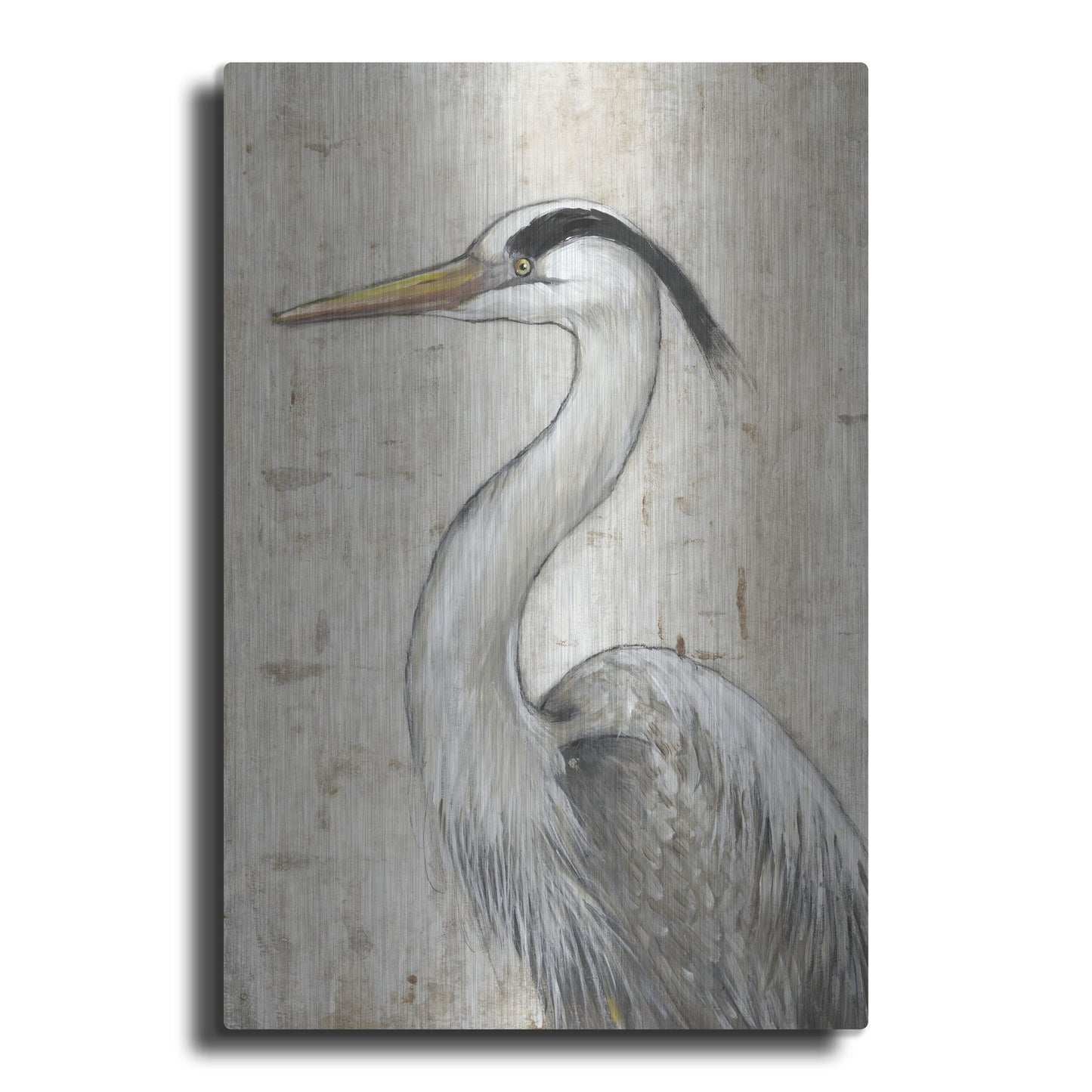 Luxe Metal Art 'Grey Heron II' by Tim O'Toole, Metal Wall Art