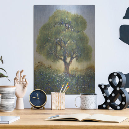 Luxe Metal Art 'Standing in the Field I' by Tim O'Toole, Metal Wall Art,12x16