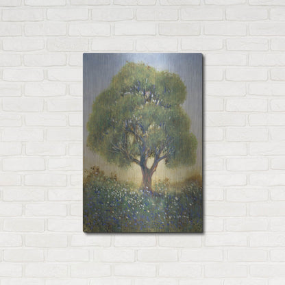 Luxe Metal Art 'Standing in the Field I' by Tim O'Toole, Metal Wall Art,24x36