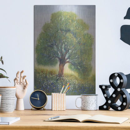 Luxe Metal Art 'Standing in the Field II' by Tim O'Toole, Metal Wall Art,12x16