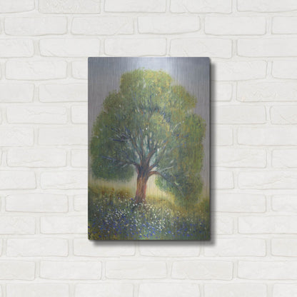 Luxe Metal Art 'Standing in the Field II' by Tim O'Toole, Metal Wall Art,16x24