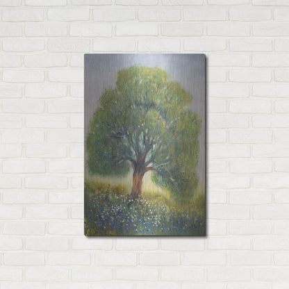 Luxe Metal Art 'Standing in the Field II' by Tim O'Toole, Metal Wall Art,24x36