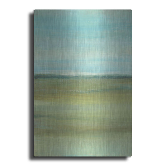 Luxe Metal Art 'Terra Verde I' by Tim O'Toole, Metal Wall Art