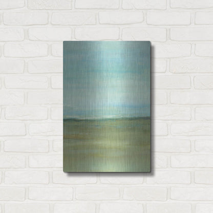 Luxe Metal Art 'Terra Verde II' by Tim O'Toole, Metal Wall Art,16x24