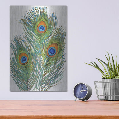 Luxe Metal Art 'Vivid Peacock Feathers II' by Tim O'Toole, Metal Wall Art,12x16