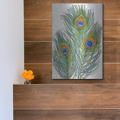 Luxe Metal Art 'Vivid Peacock Feathers II' by Tim O'Toole, Metal Wall Art,12x16