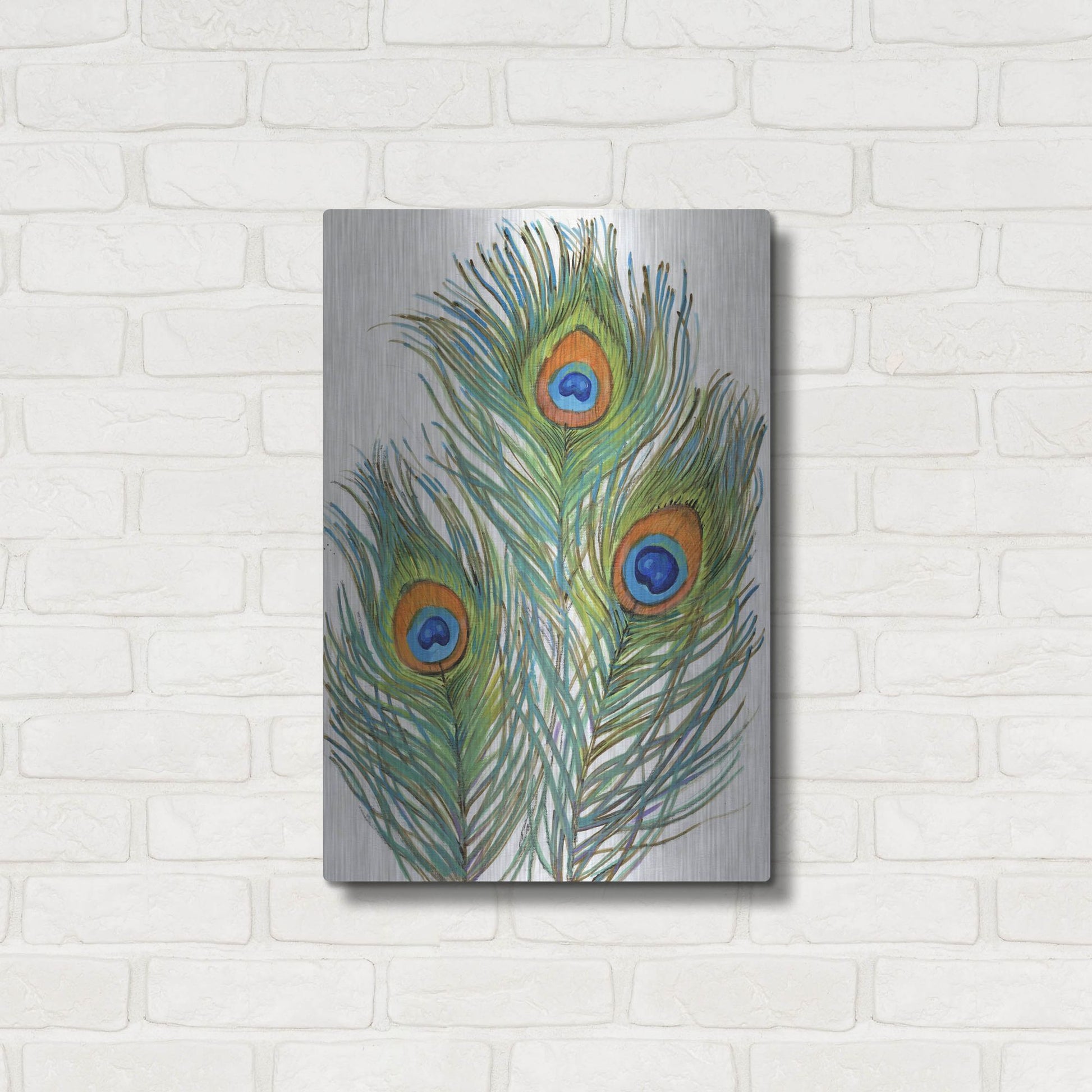 Luxe Metal Art 'Vivid Peacock Feathers II' by Tim O'Toole, Metal Wall Art,16x24