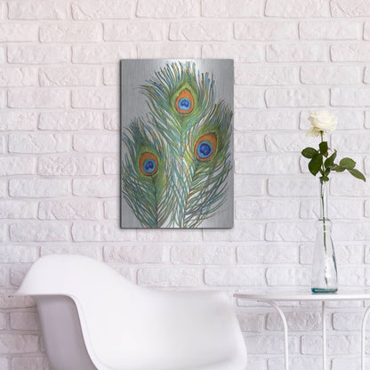Luxe Metal Art 'Vivid Peacock Feathers II' by Tim O'Toole, Metal Wall Art,16x24