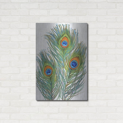 Luxe Metal Art 'Vivid Peacock Feathers II' by Tim O'Toole, Metal Wall Art,24x36