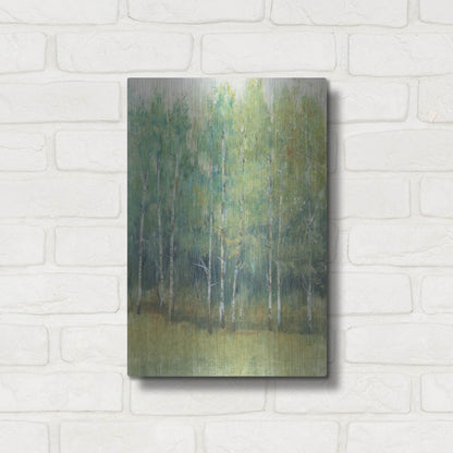 Luxe Metal Art 'Wood Land Edge I' by Tim O'Toole, Metal Wall Art,12x16