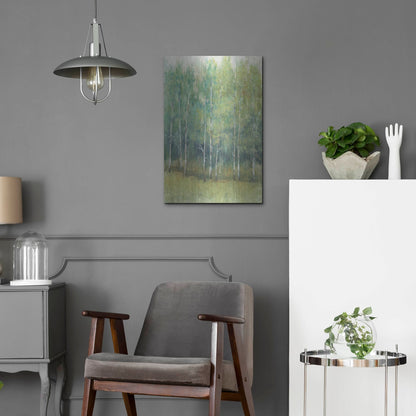 Luxe Metal Art 'Wood Land Edge I' by Tim O'Toole, Metal Wall Art,16x24