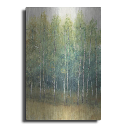 Luxe Metal Art 'Wood Land Edge II' by Tim O'Toole, Metal Wall Art