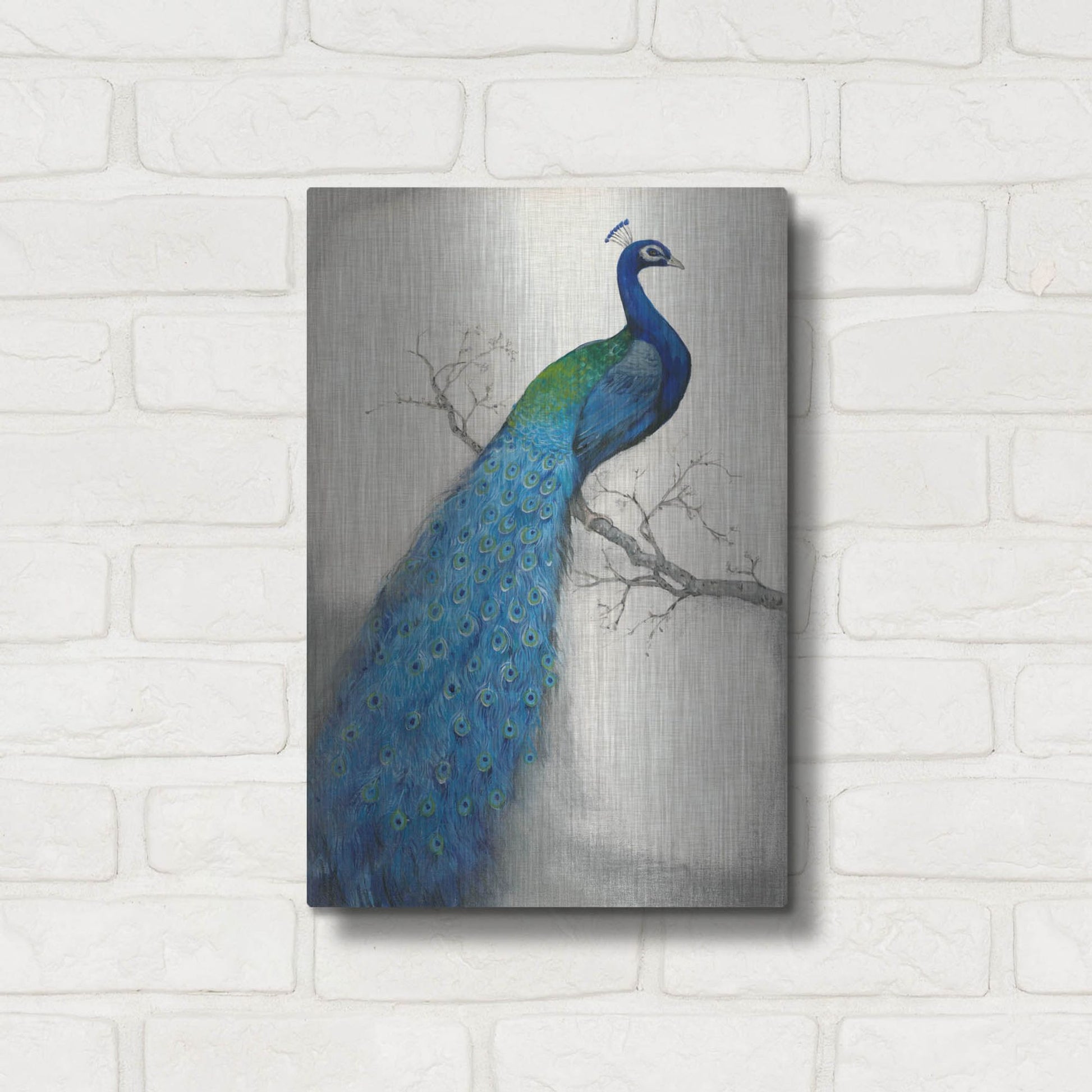 Luxe Metal Art 'Peacock Blue I' by Tim O'Toole, Metal Wall Art,12x16