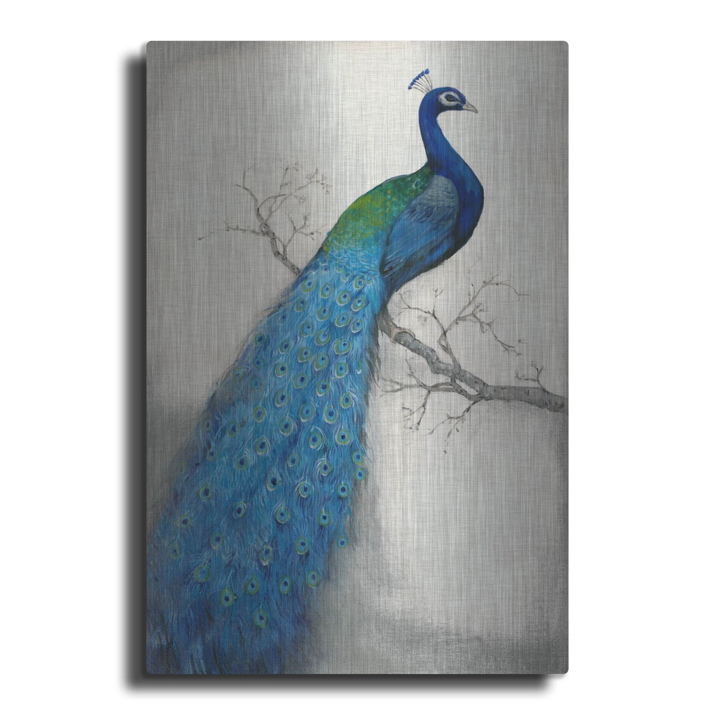 Luxe Metal Art 'Peacock Blue I' by Tim O'Toole, Metal Wall Art