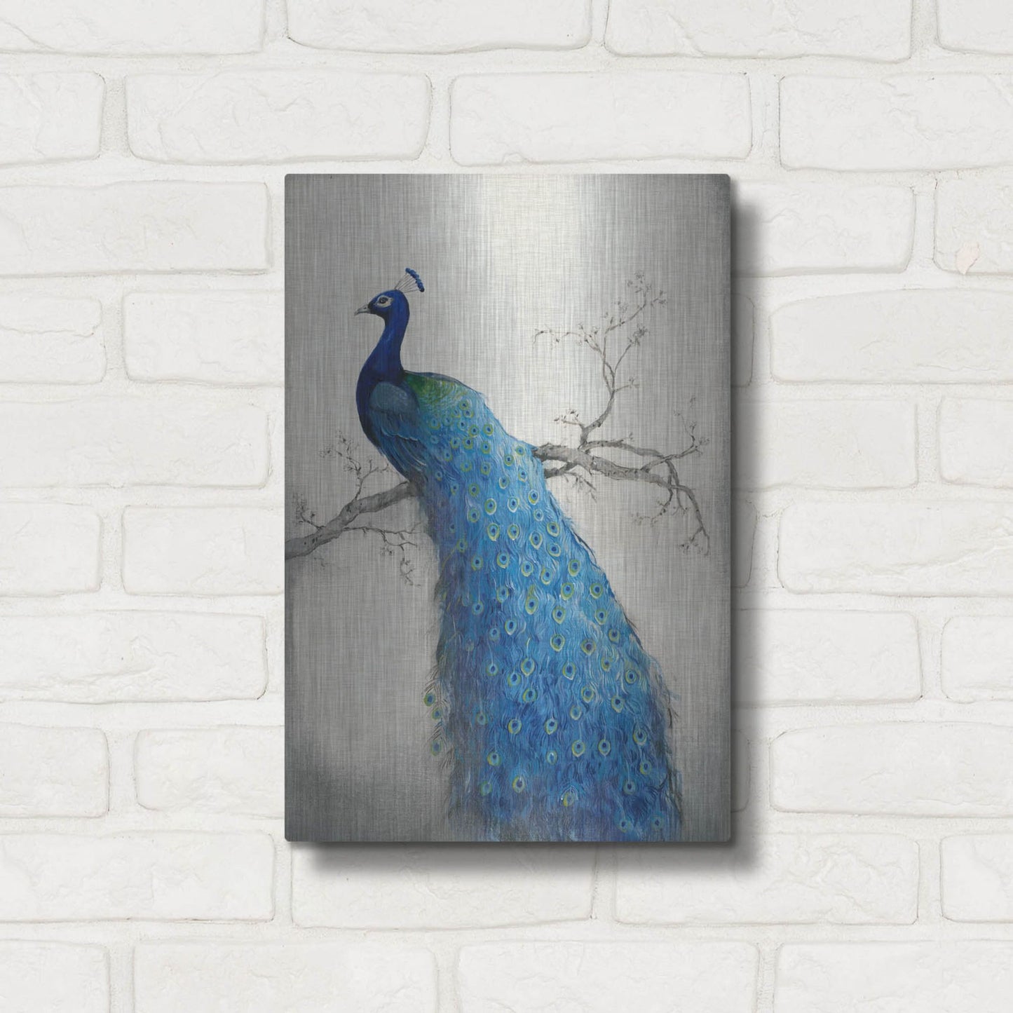 Luxe Metal Art 'Peacock Blue II' by Tim O'Toole, Metal Wall Art,12x16