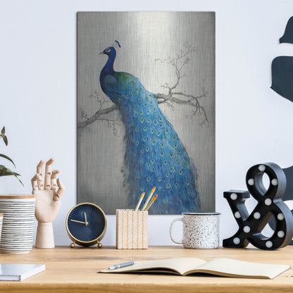 Luxe Metal Art 'Peacock Blue II' by Tim O'Toole, Metal Wall Art,12x16