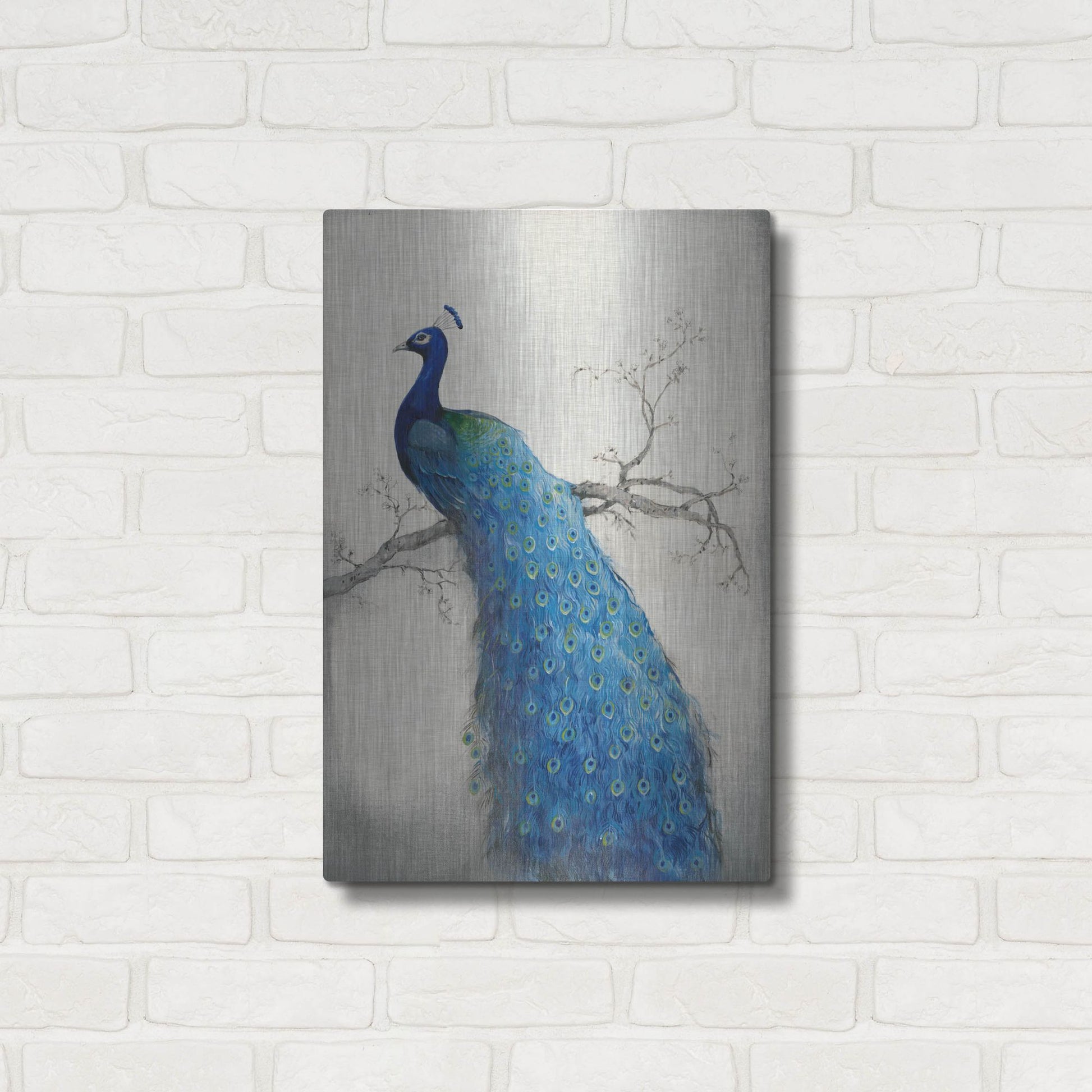 Luxe Metal Art 'Peacock Blue II' by Tim O'Toole, Metal Wall Art,16x24