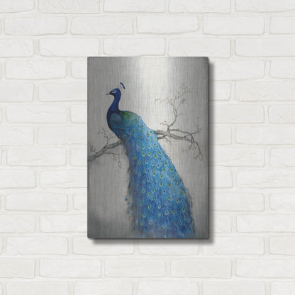 Luxe Metal Art 'Peacock Blue II' by Tim O'Toole, Metal Wall Art,16x24