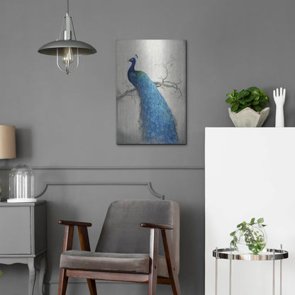 Luxe Metal Art 'Peacock Blue II' by Tim O'Toole, Metal Wall Art,16x24