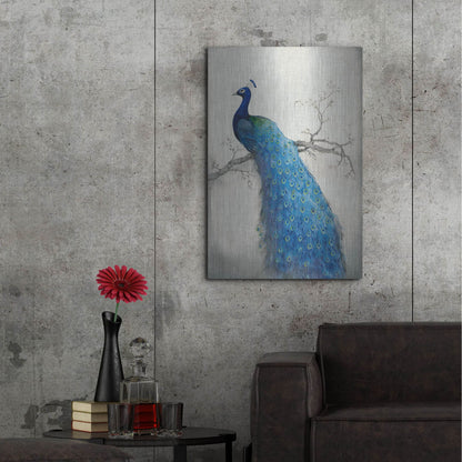 Luxe Metal Art 'Peacock Blue II' by Tim O'Toole, Metal Wall Art,24x36