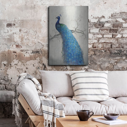 Luxe Metal Art 'Peacock Blue II' by Tim O'Toole, Metal Wall Art,24x36