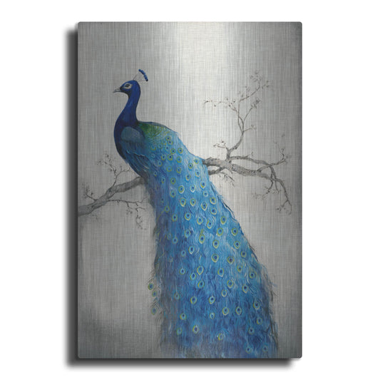 Luxe Metal Art 'Peacock Blue II' by Tim O'Toole, Metal Wall Art