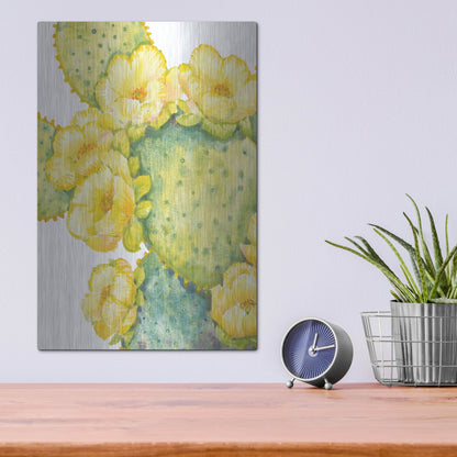 Luxe Metal Art 'Cactus on Silver I' by Tim O'Toole, Metal Wall Art,12x16