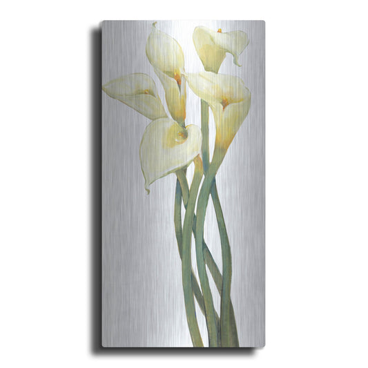 Luxe Metal Art 'Callas on Silver I' by Tim O'Toole, Metal Wall Art