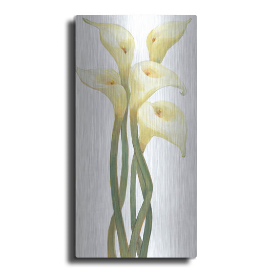 Luxe Metal Art 'Callas on Silver II' by Tim O'Toole, Metal Wall Art