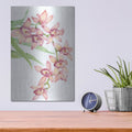 'Exotic Flowers III' by Tim O'Toole – Metal Wall Art, 12x16 room view