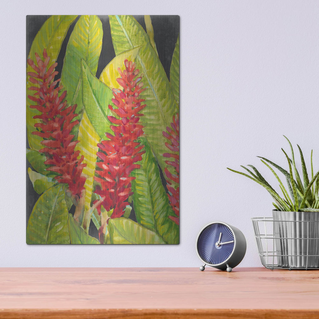 Luxe Metal Art 'Red Tropical Flowers I' by Tim O'Toole, Metal Wall Art,12x16