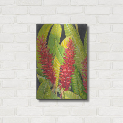 Luxe Metal Art 'Red Tropical Flowers I' by Tim O'Toole, Metal Wall Art,16x24