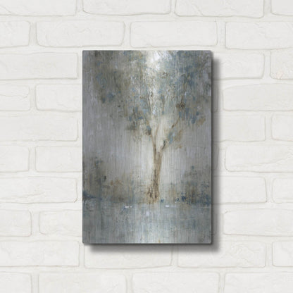 Luxe Metal Art 'Morning Glow I' by Tim O'Toole, Metal Wall Art,12x16