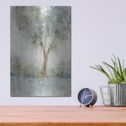 Luxe Metal Art 'Morning Glow I' by Tim O'Toole, Metal Wall Art,12x16