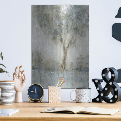 Luxe Metal Art 'Morning Glow I' by Tim O'Toole, Metal Wall Art,12x16