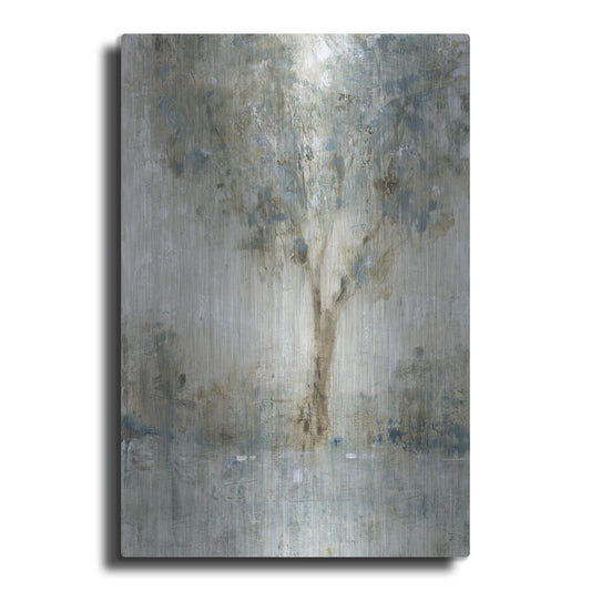 Luxe Metal Art 'Morning Glow I' by Tim O'Toole, Metal Wall Art