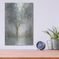 Luxe Metal Art 'Morning Glow II' by Tim O'Toole, Metal Wall Art,12x16