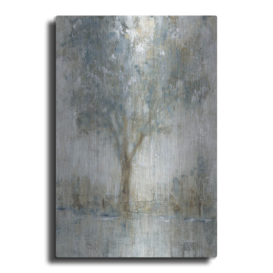 Luxe Metal Art 'Morning Glow II' by Tim O'Toole, Metal Wall Art