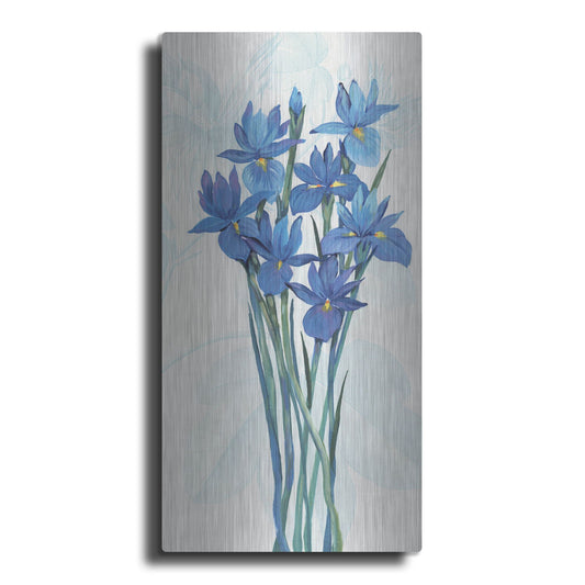 Luxe Metal Art 'Blue Iris Panel II' by Tim O'Toole, Metal Wall Art