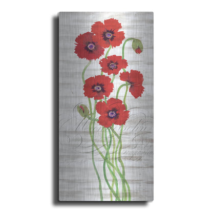 Luxe Metal Art 'Red Poppy Panel II' by Tim O'Toole, Metal Wall Art