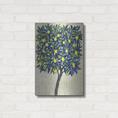 Luxe Metal Art 'Lemon Tree Composition II' by Tim O'Toole, Metal Wall Art,16x24